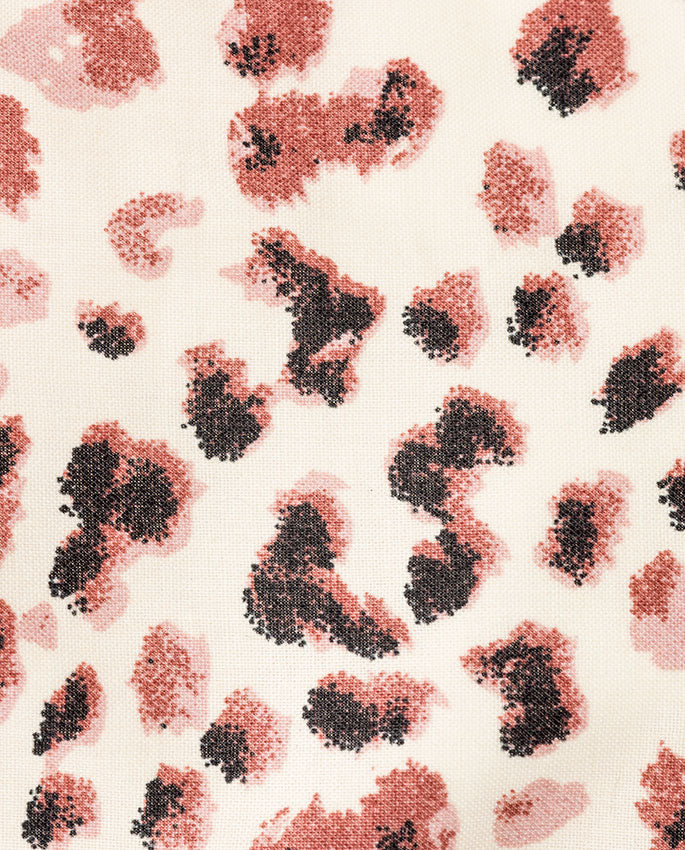 misu-cat-brown-white